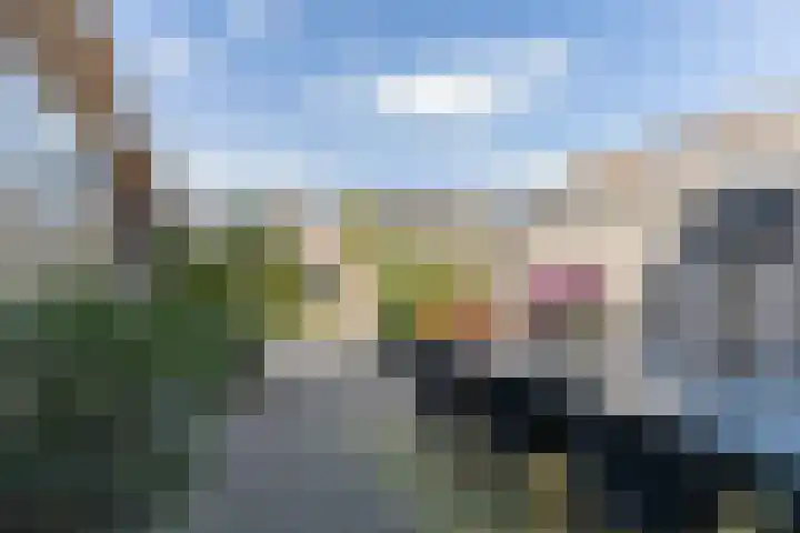 Zwanebloem 7 Alblasserdam thumbnail 34