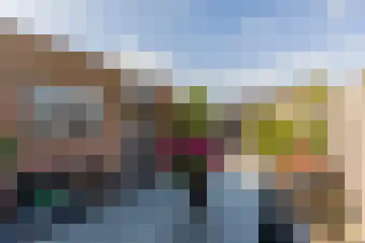 Zwanebloem 7 Alblasserdam thumbnail 35