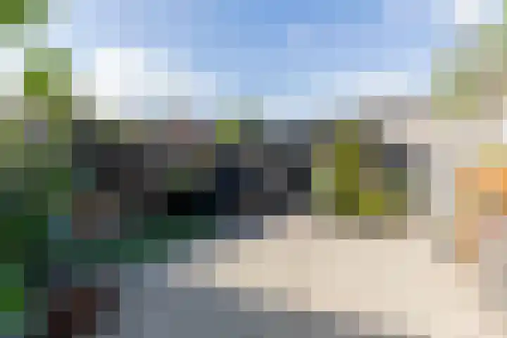 Zwanebloem 7 Alblasserdam thumbnail 37
