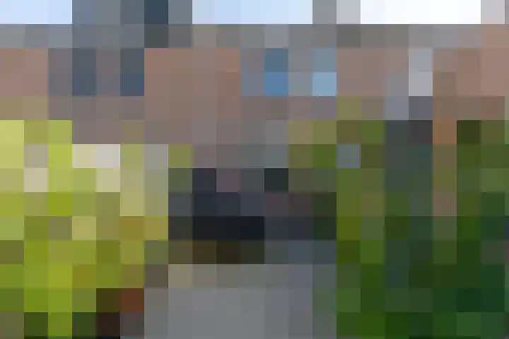 Zwanebloem 7 Alblasserdam thumbnail 38