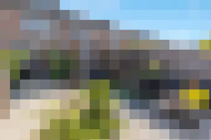 Zwanebloem 7 Alblasserdam thumbnail 39
