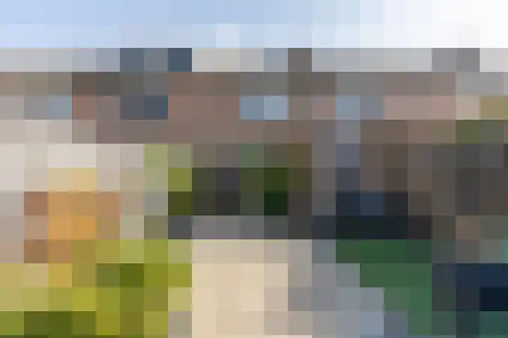 Zwanebloem 7 Alblasserdam thumbnail 40