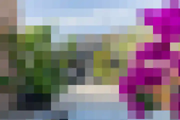 Zwanebloem 7 Alblasserdam thumbnail 41