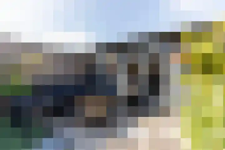 Zwanebloem 7 Alblasserdam thumbnail 42