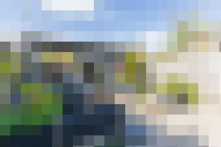 Zwanebloem 7 Alblasserdam thumbnail 43