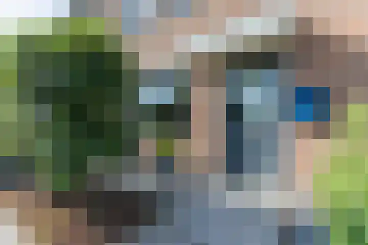 Zwanebloem 7 Alblasserdam thumbnail 45