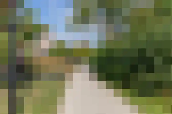 Zwanebloem 7 Alblasserdam thumbnail 46