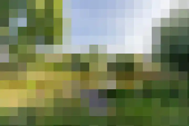 Zwanebloem 7 Alblasserdam thumbnail 47