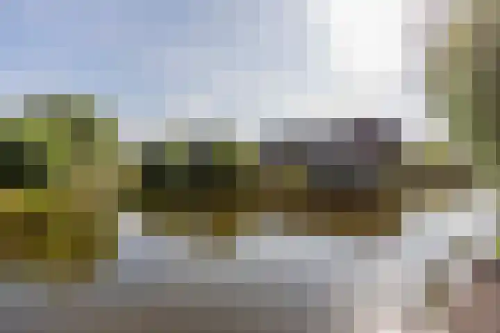 Zwanebloem 7 Alblasserdam thumbnail 48
