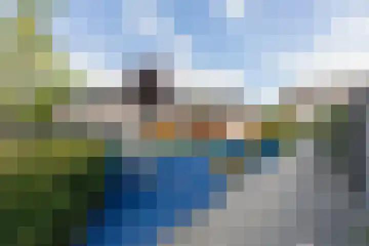 Zwanebloem 7 Alblasserdam thumbnail 49