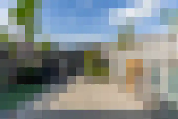 Zwanebloem 7 Alblasserdam thumbnail 5