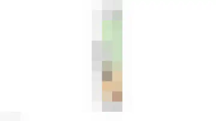 Zwanebloem 7 Alblasserdam thumbnail 53