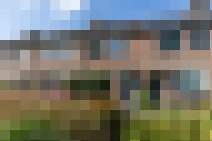 Zwanebloem 7 Alblasserdam thumbnail 55