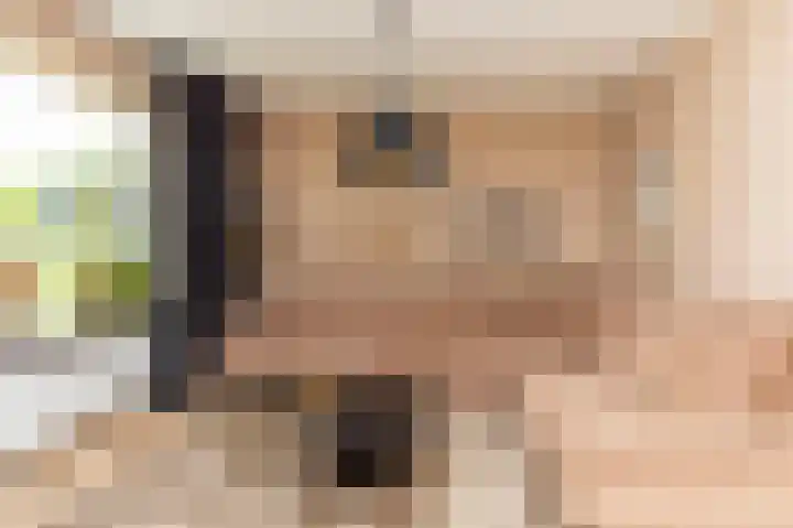 Zwanebloem 7 Alblasserdam thumbnail 6