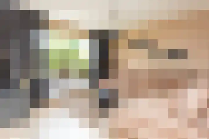 Zwanebloem 7 Alblasserdam thumbnail 7