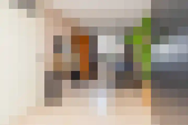 Zwanebloem 7 Alblasserdam thumbnail 8