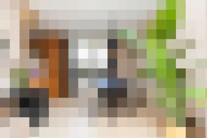 Zwanebloem 7 Alblasserdam thumbnail 9