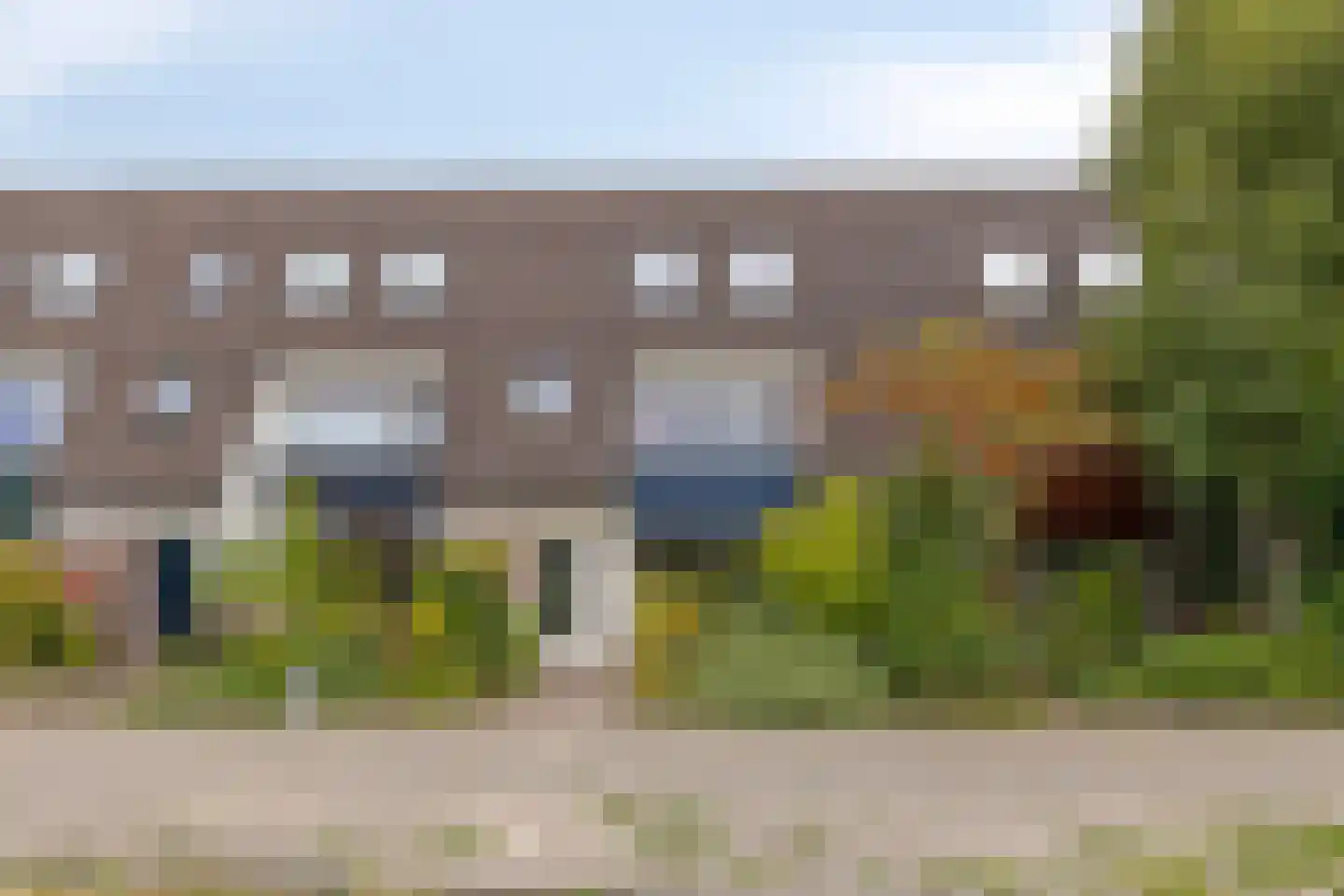 Zwanebloem 7 Castricum