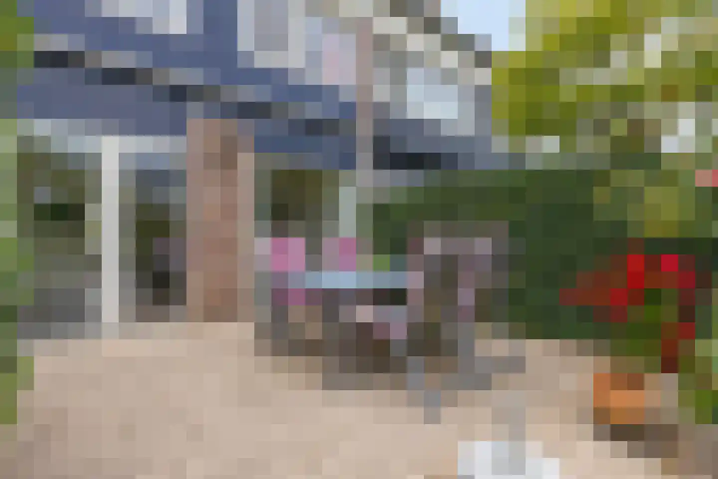Zwanebloem 7 Castricum thumbnail 11