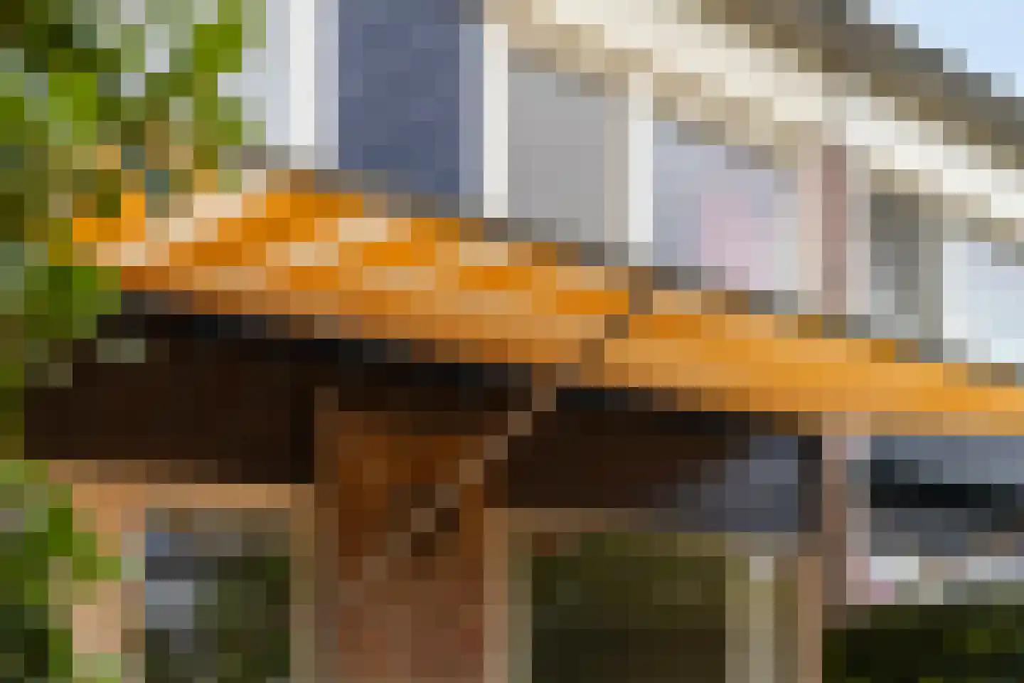 Zwanebloem 7 Castricum thumbnail 12