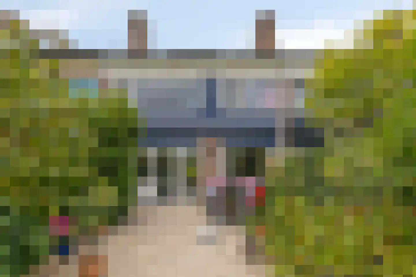 Zwanebloem 7 Castricum thumbnail 16