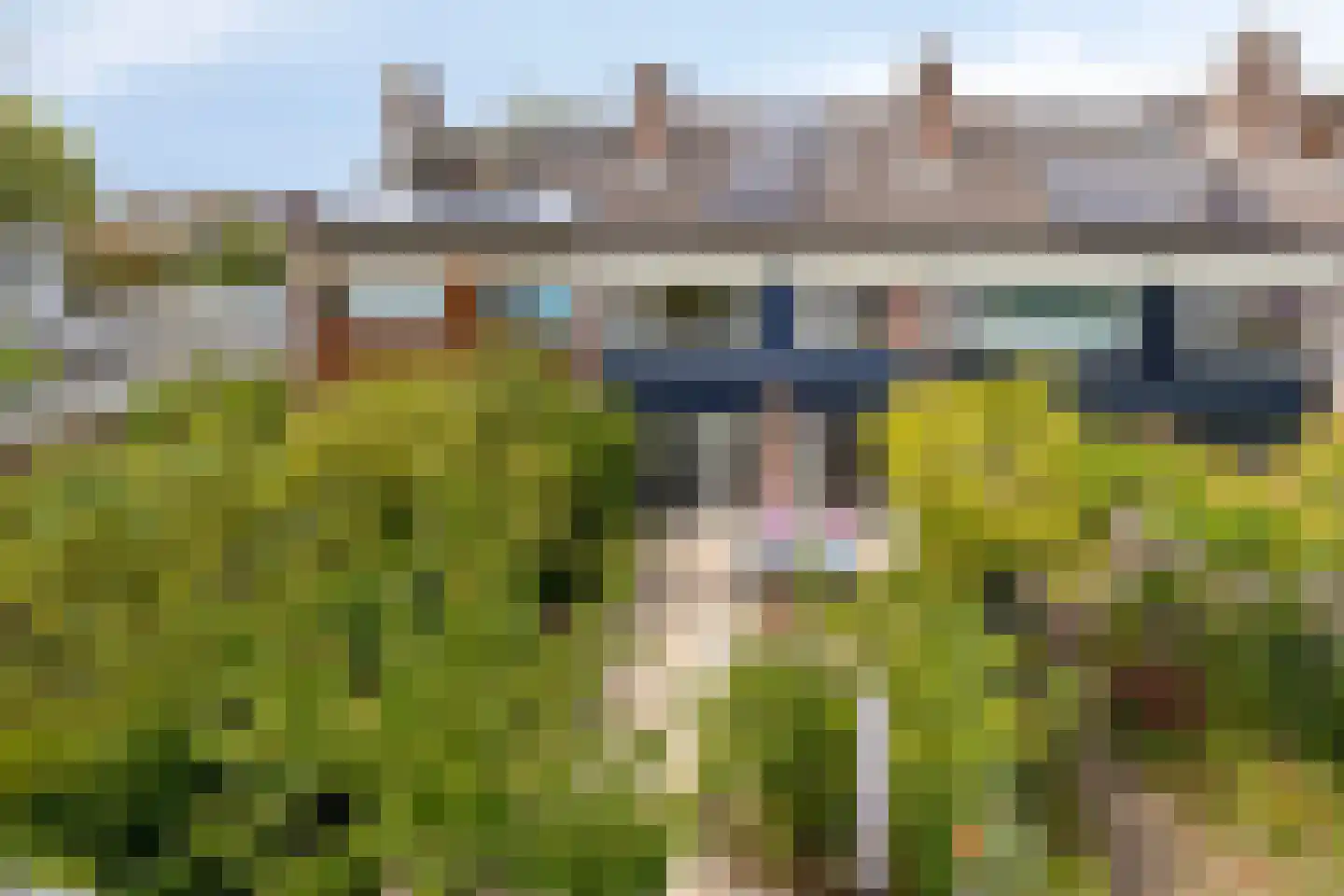 Zwanebloem 7 Castricum thumbnail 29