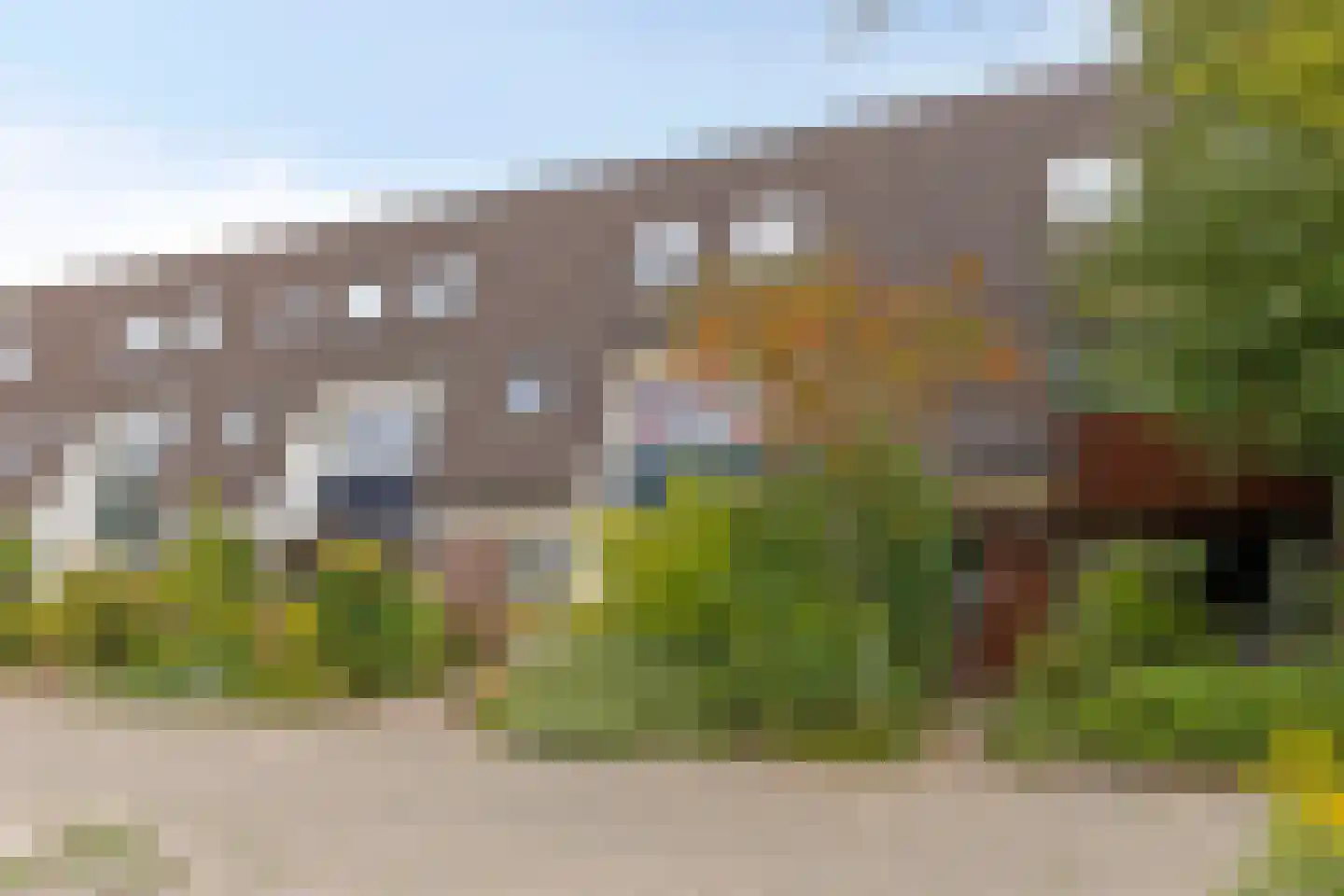 Zwanebloem 7 Castricum thumbnail 30