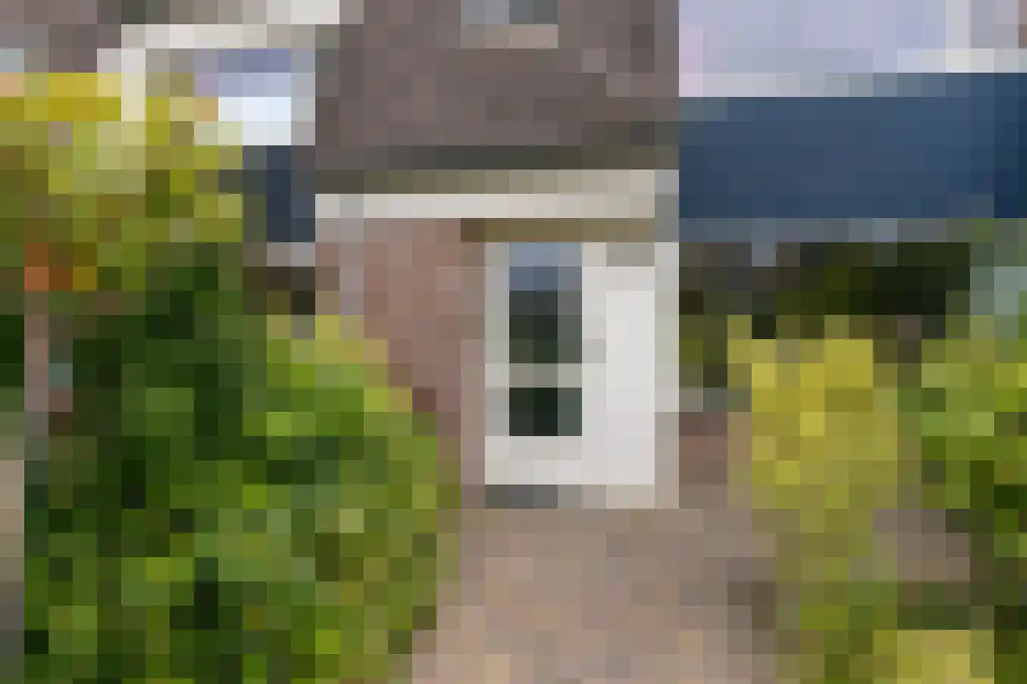 Zwanebloem 7 Castricum thumbnail 31
