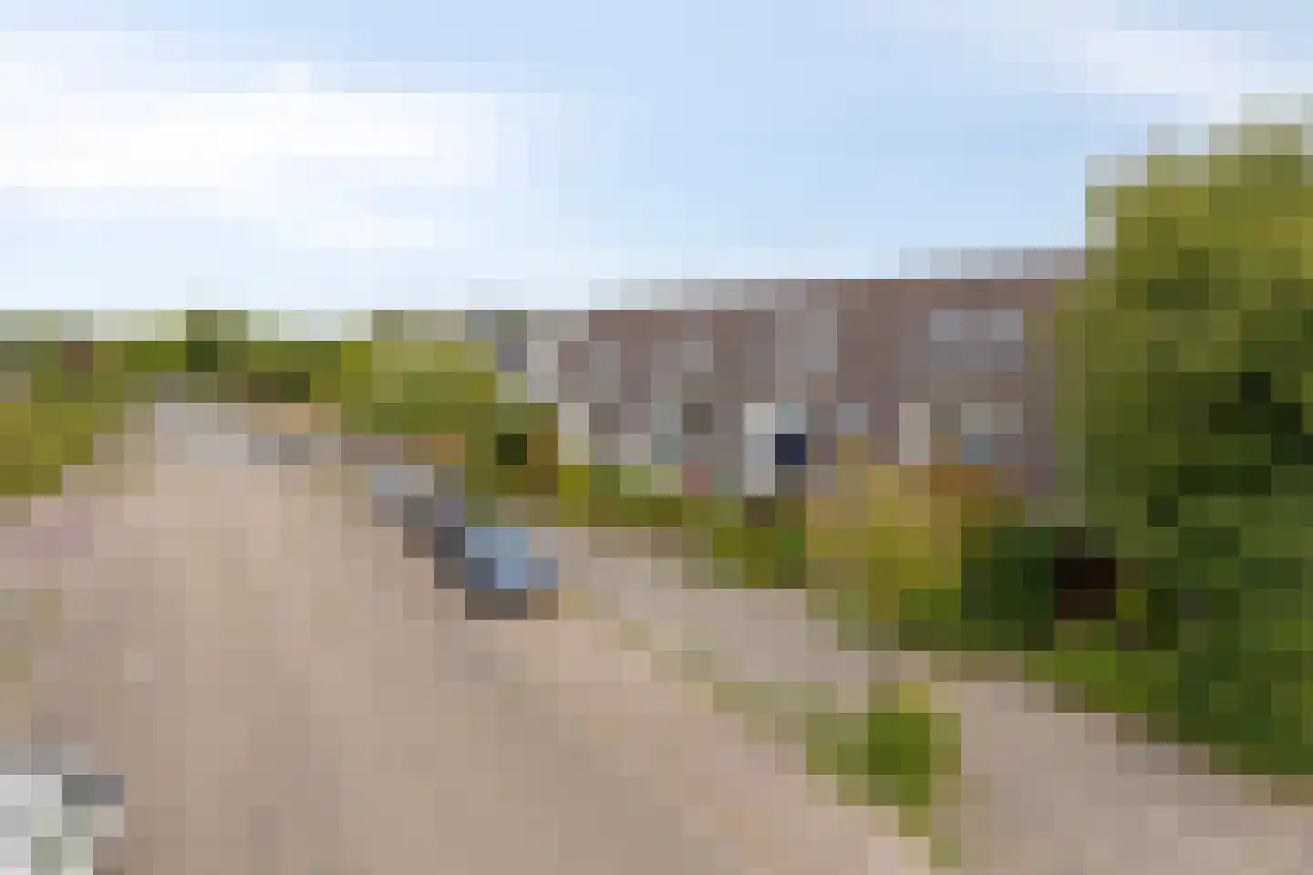 Zwanebloem 7 Castricum thumbnail 32
