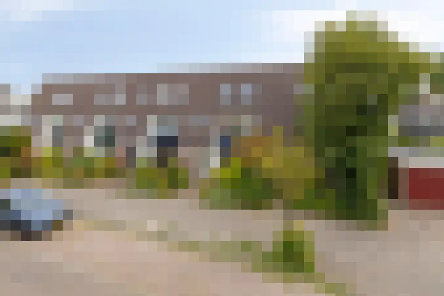 Zwanebloem 7 Castricum thumbnail 33