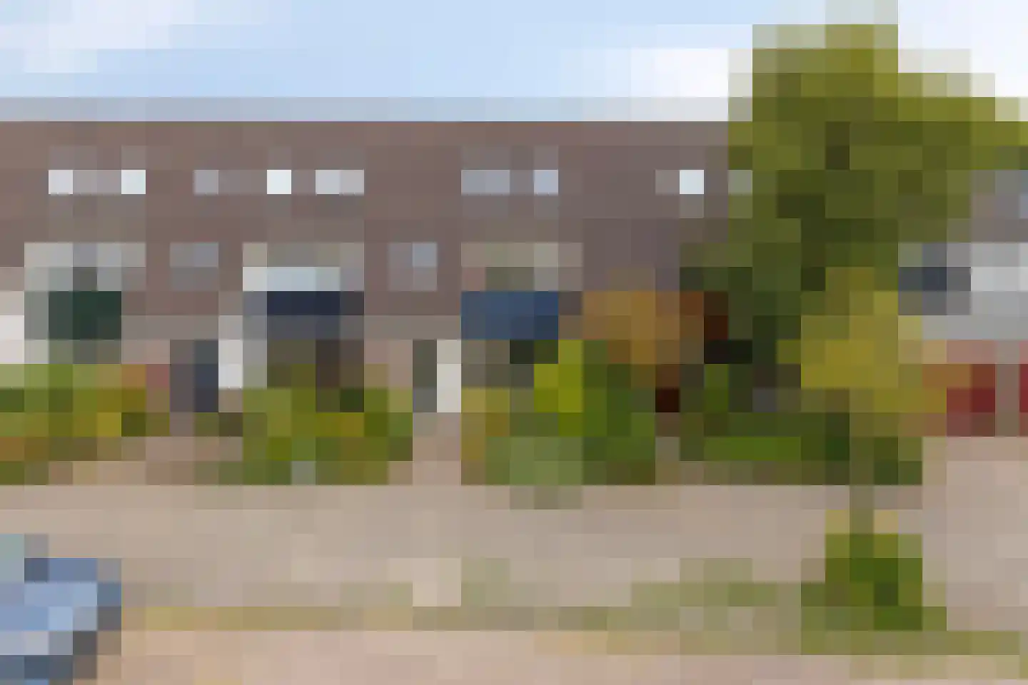 Zwanebloem 7 Castricum thumbnail 34