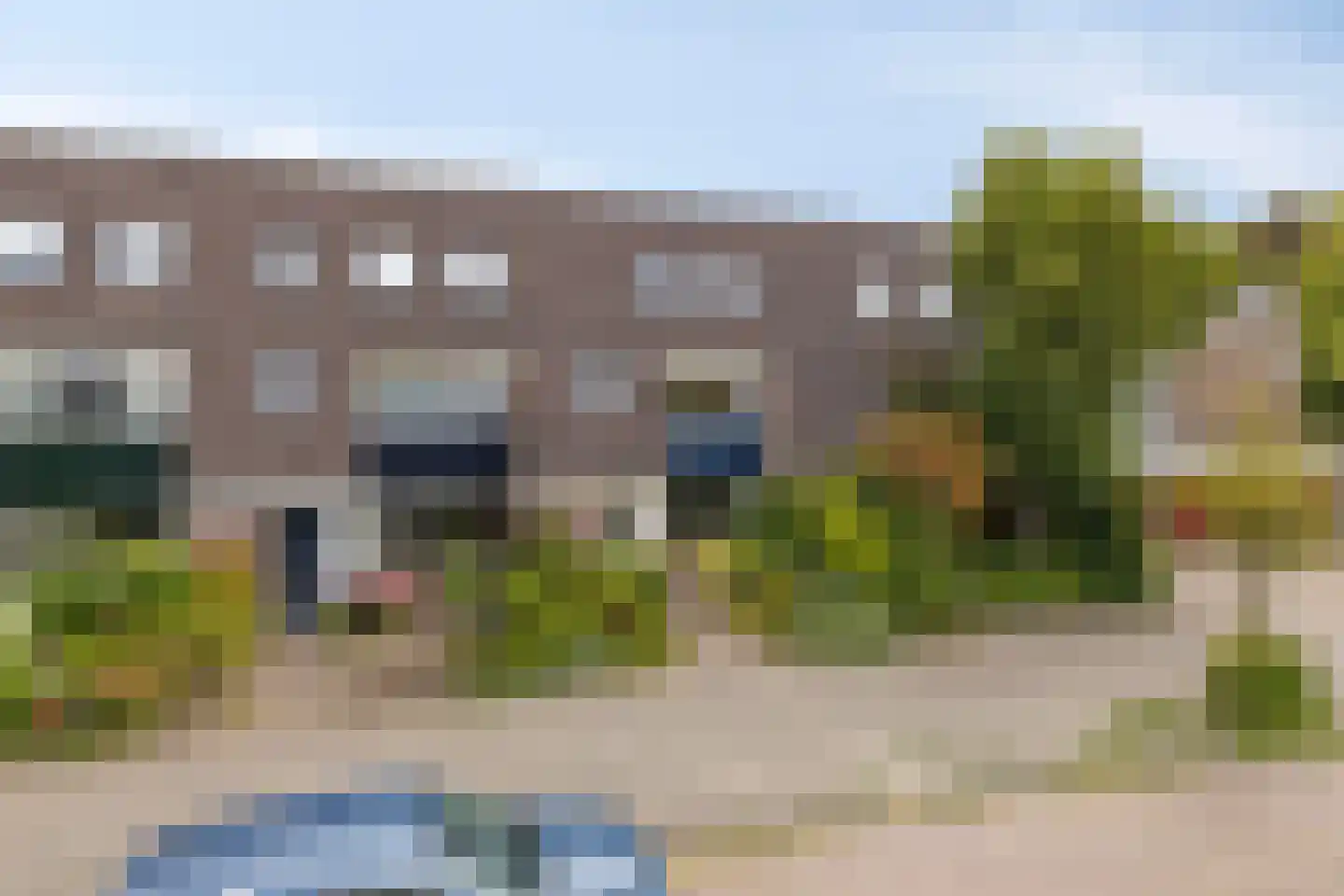 Zwanebloem 7 Castricum thumbnail 35