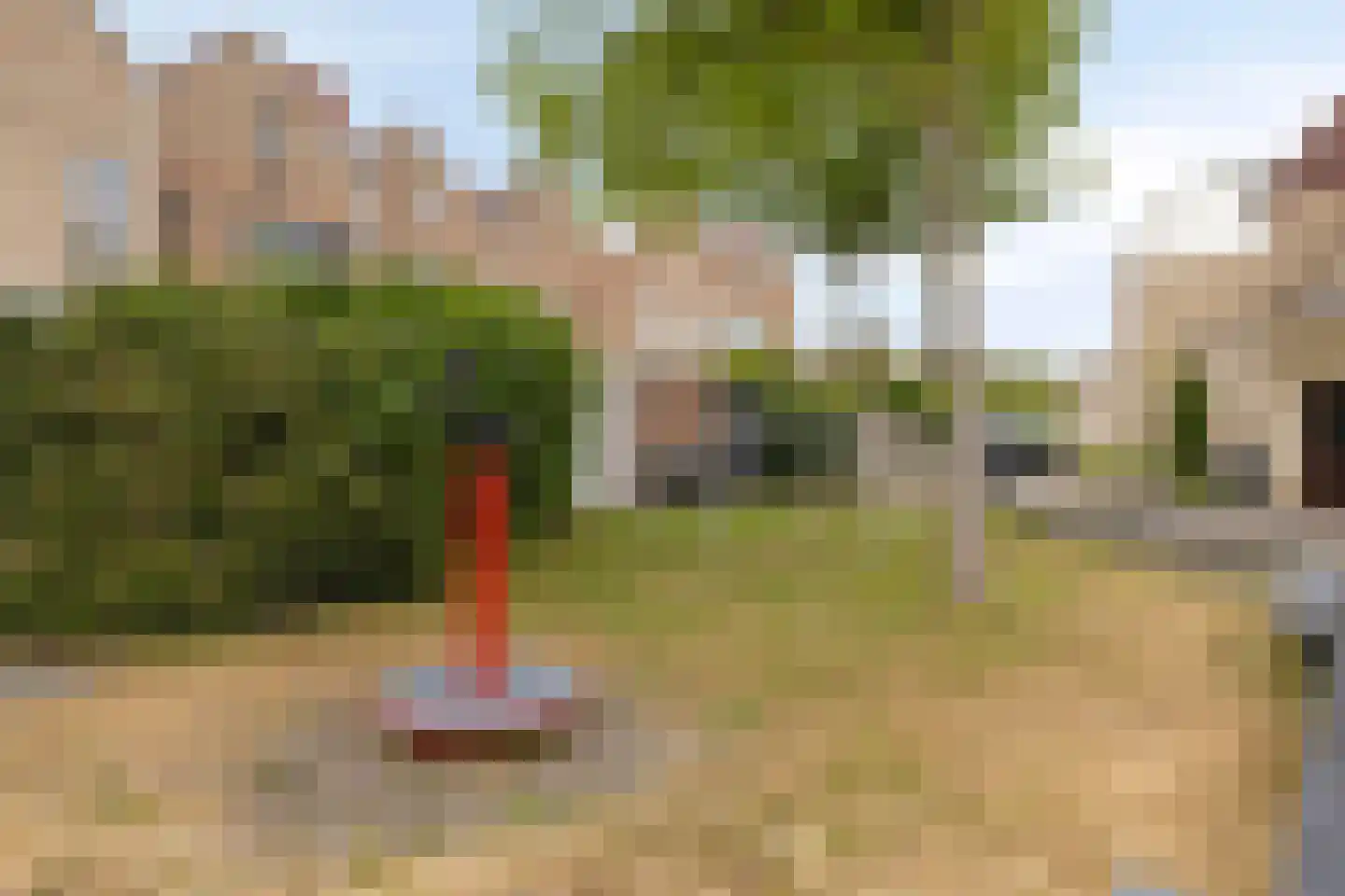 Zwanebloem 7 Castricum thumbnail 38