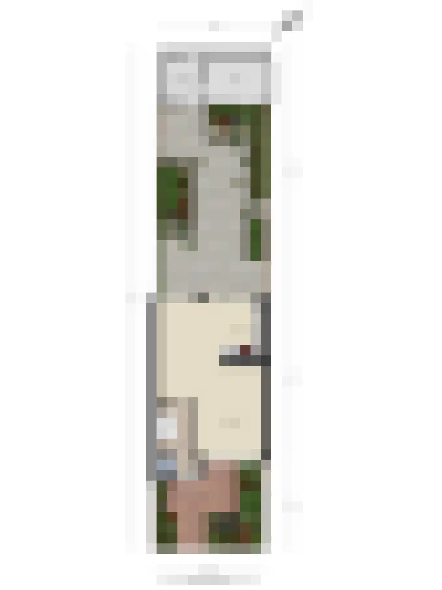 Zwanebloem 7 Castricum thumbnail 42
