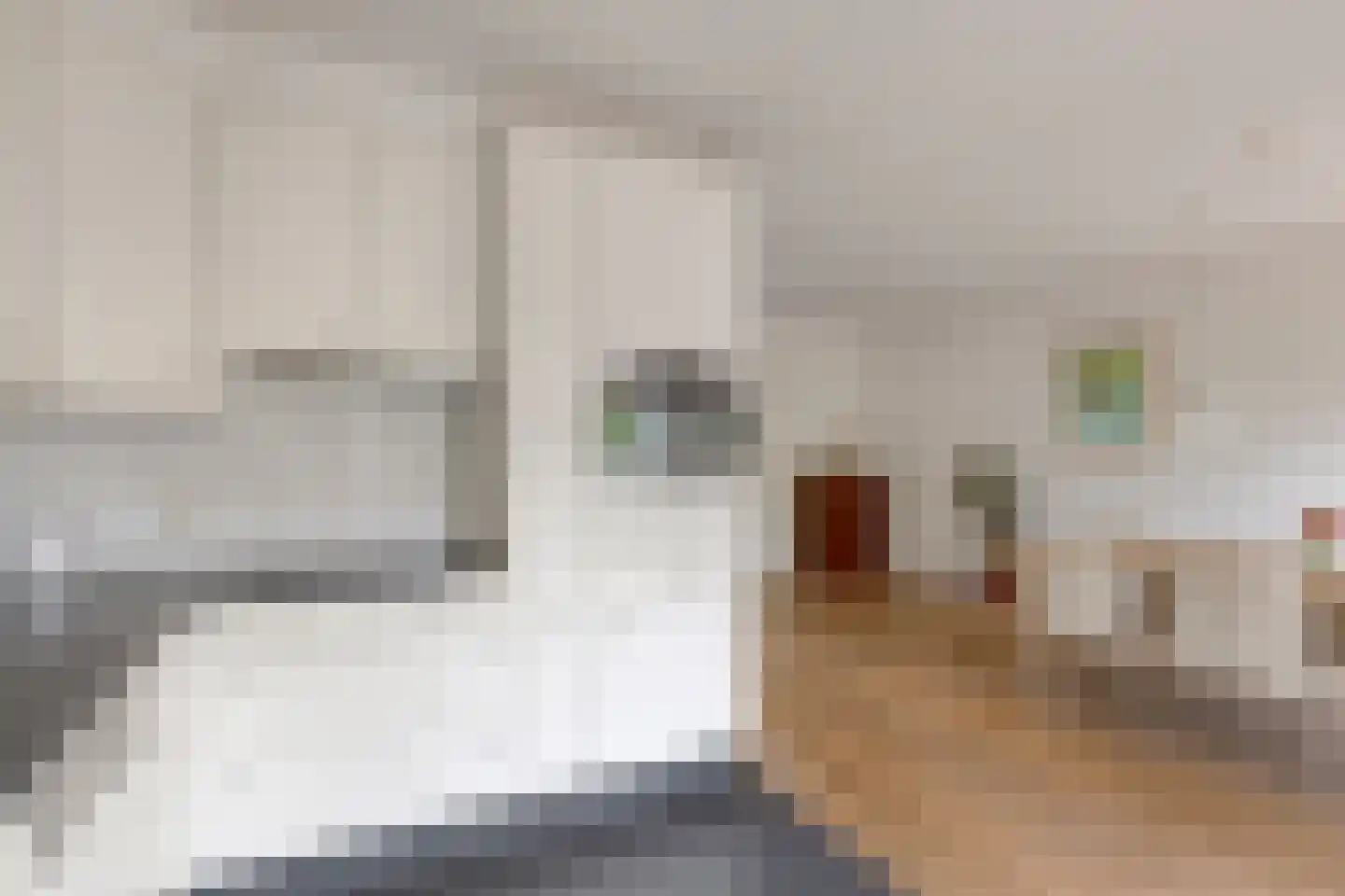 Zwanebloem 7 Castricum thumbnail 8