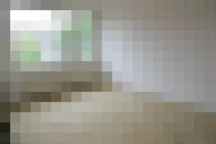 Zwanebloem 7 Culemborg thumbnail 10