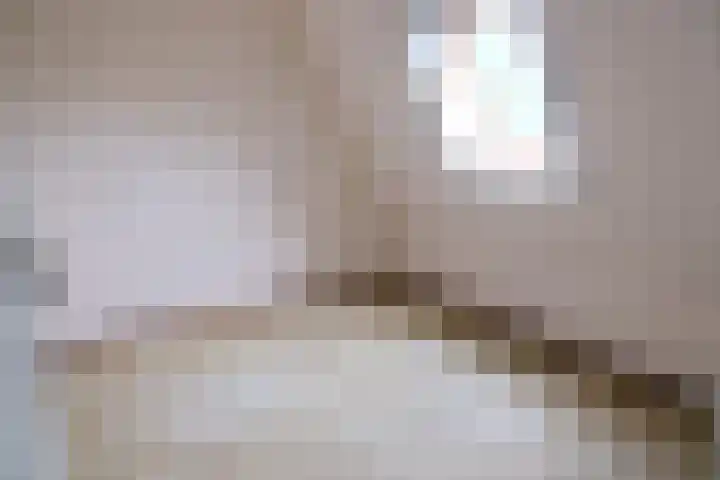 Zwanebloem 7 Culemborg thumbnail 11