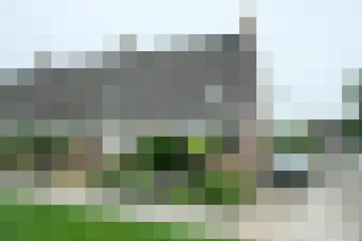 Zwanebloem 7 Culemborg thumbnail 20
