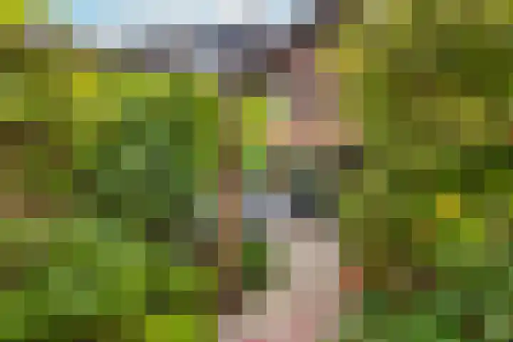 Zwanebloem 7 De Meern thumbnail 16