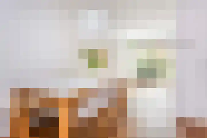 Zwanebloem 7 De Meern thumbnail 19