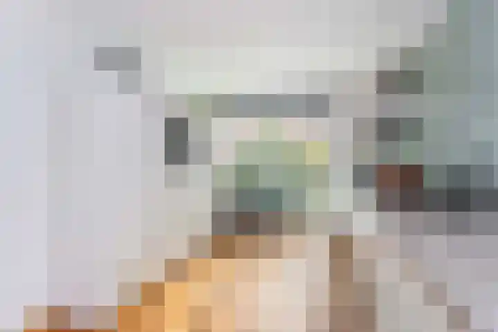 Zwanebloem 7 De Meern thumbnail 20