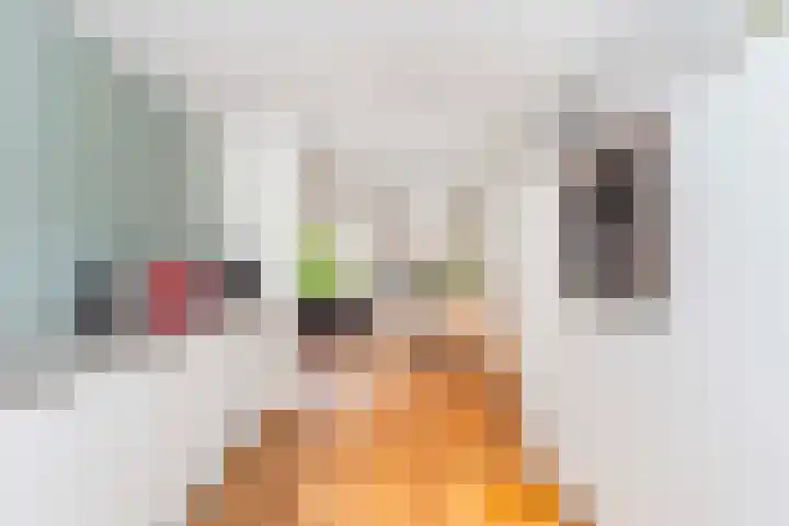 Zwanebloem 7 De Meern thumbnail 22