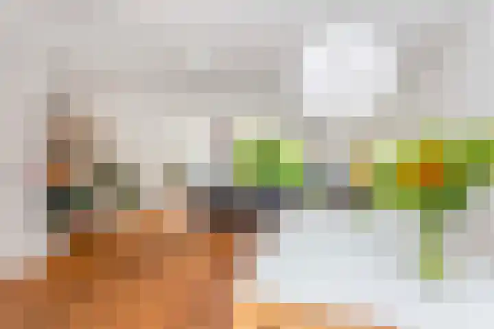 Zwanebloem 7 De Meern thumbnail 24