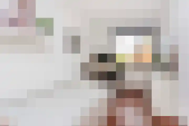 Zwanebloem 7 De Meern thumbnail 27