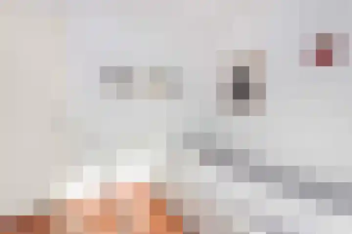 Zwanebloem 7 De Meern thumbnail 32