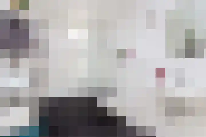 Zwanebloem 7 De Meern thumbnail 33