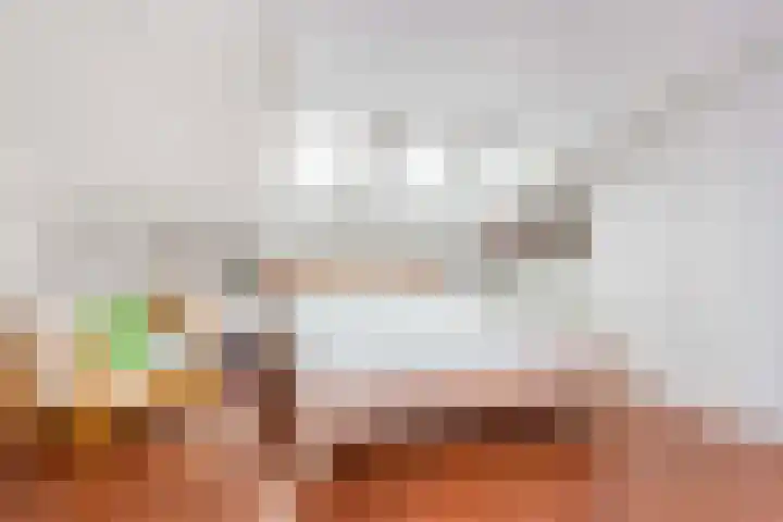 Zwanebloem 7 De Meern thumbnail 37