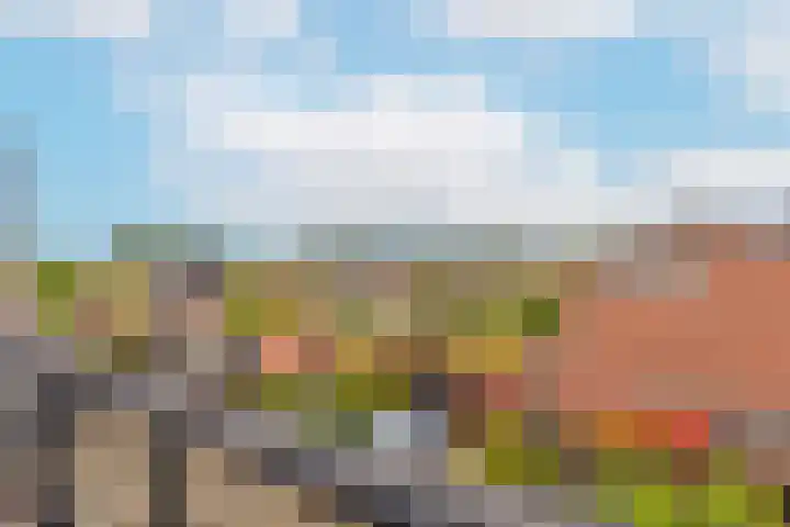 Zwanebloem 7 De Meern thumbnail 42