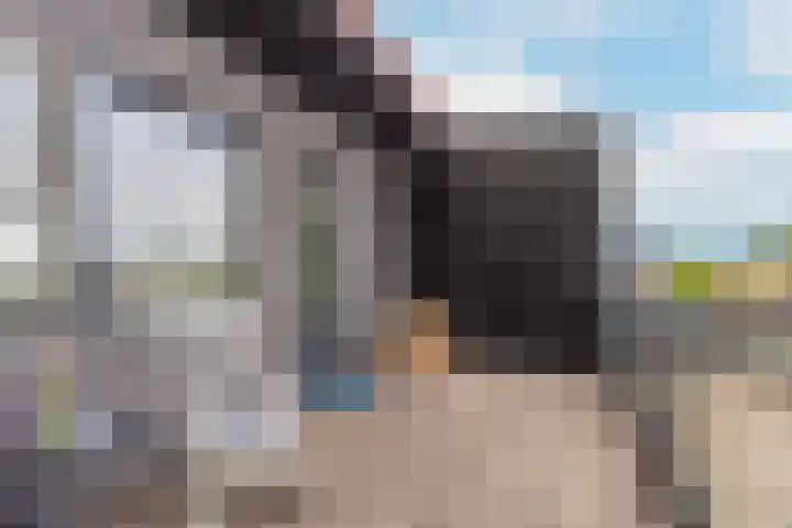 Zwanebloem 7 De Meern thumbnail 43