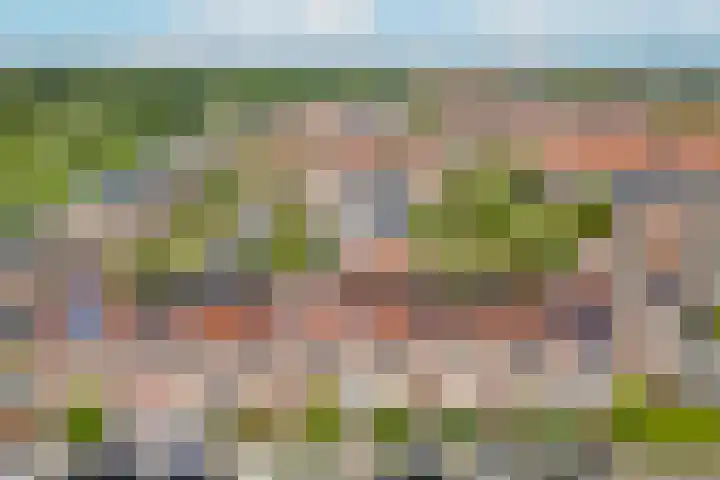 Zwanebloem 7 De Meern thumbnail 44